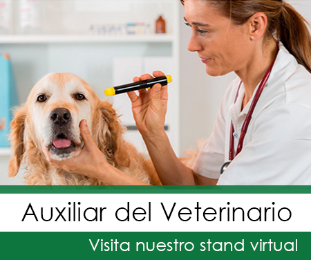 Auxiliar-del-Veterinario