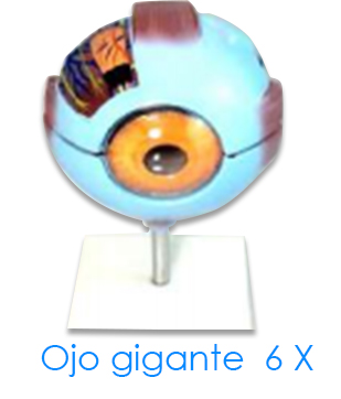 Ojo gigante 6-X