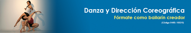 Danza y Dirección Coreográfica