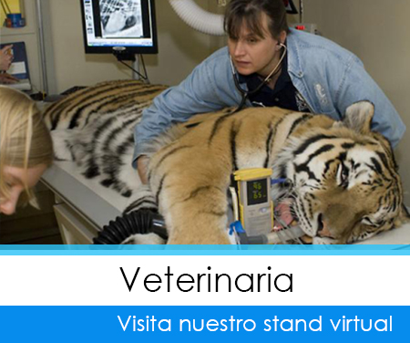 Carreras en Veterinaria