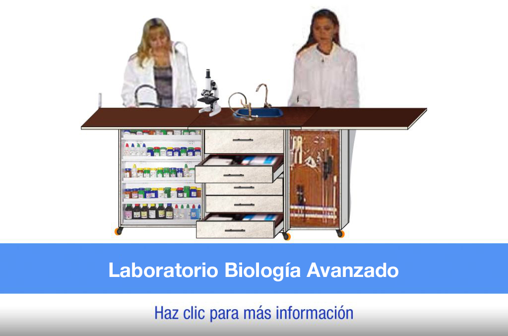 tl_files/2022/Laboratorios animados/Biologia-estandar-2021.gif